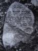 Here lies an old woman Ms. Chaya daughter of Beniamin
of blessed memory died 28 Tishrei
5658 [24 October 1897] May her soul be bound in the
bond of everlasting life